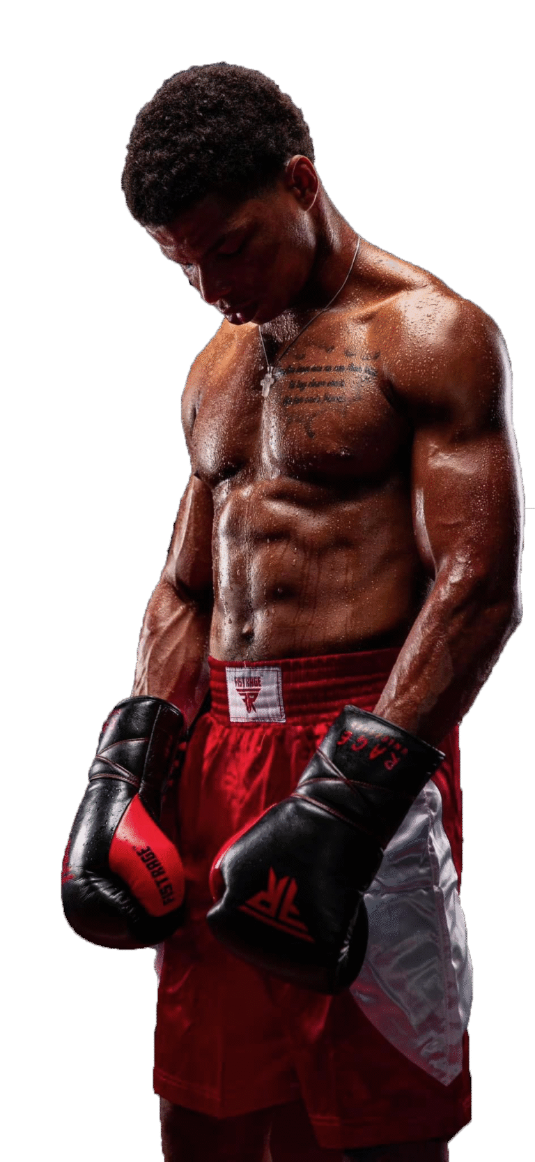 The Official Website of Deangelo 